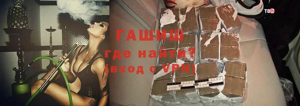 дмт Пересвет