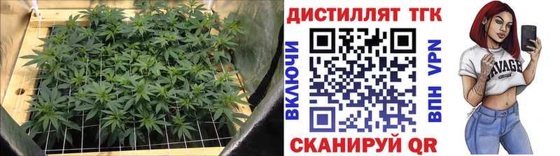 ТГК гашишное масло  закладки  мега ссылка  Богородск 