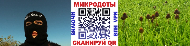 наркота  Богородск  Галлюциногенные грибы мухоморы 