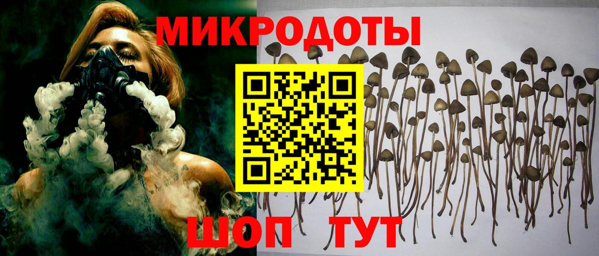 Псилоцибиновые грибы мухоморы Богородск