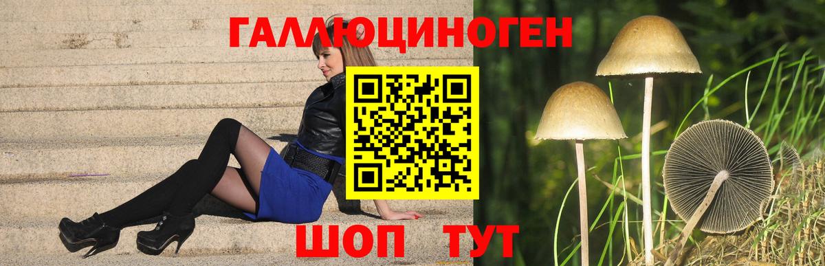 Галлюциногенные грибы GOLDEN TEACHER  Вход с VPN  Богородск 